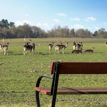 Amazing In With Sauna Nordenbro Vesteregn