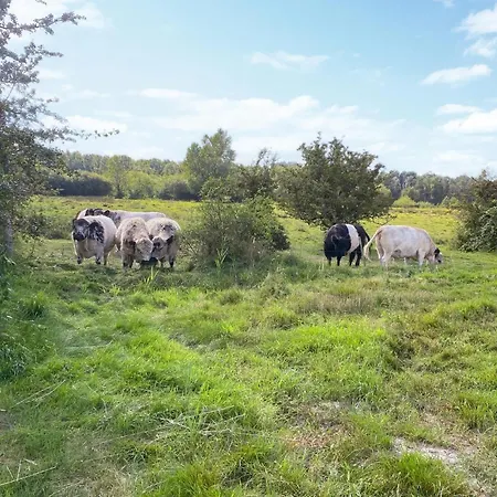 Amazing In With Sauna