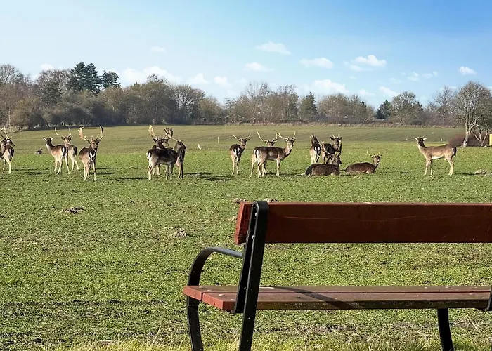 Amazing In With Sauna Nordenbro Vesteregn